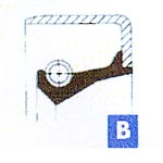 B