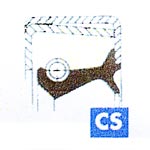 CS